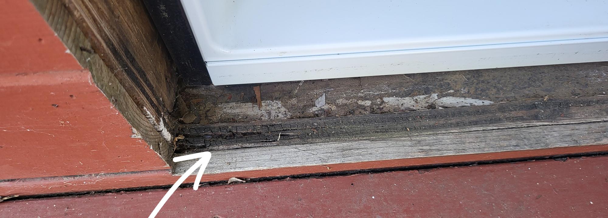 Zen-Cal Termite
